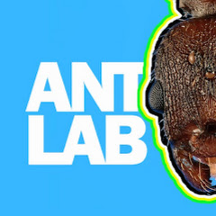 Ant Lab